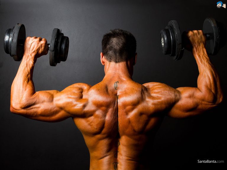 muscle specific hypertrophy