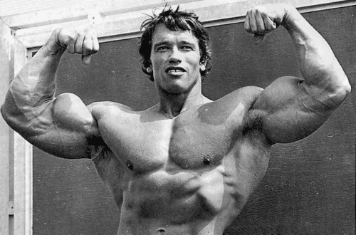 arnold biceps
