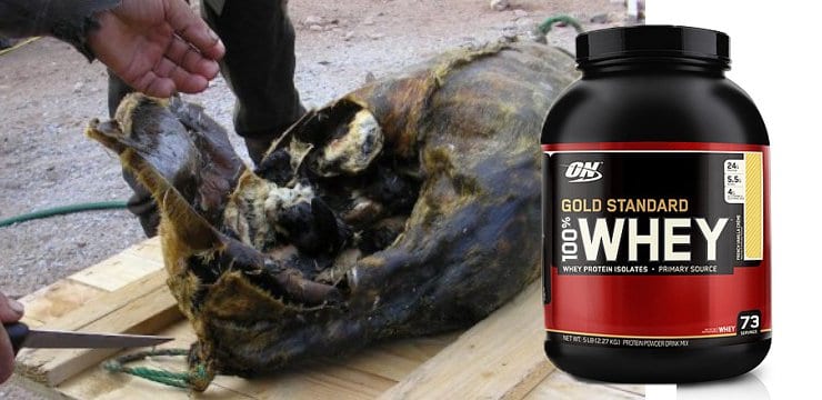 grossest form of protein