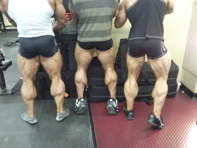 bodybuilders showing off calves