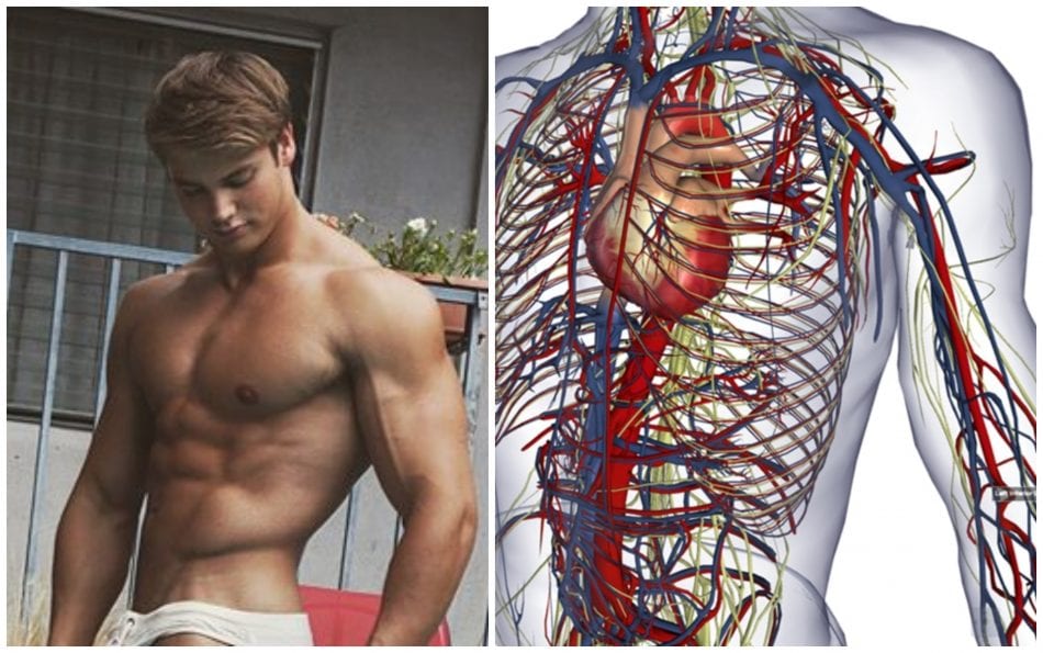 Best Keto Supplements: Top 5 Exogenous Pills to Get Into Ketosis Fast