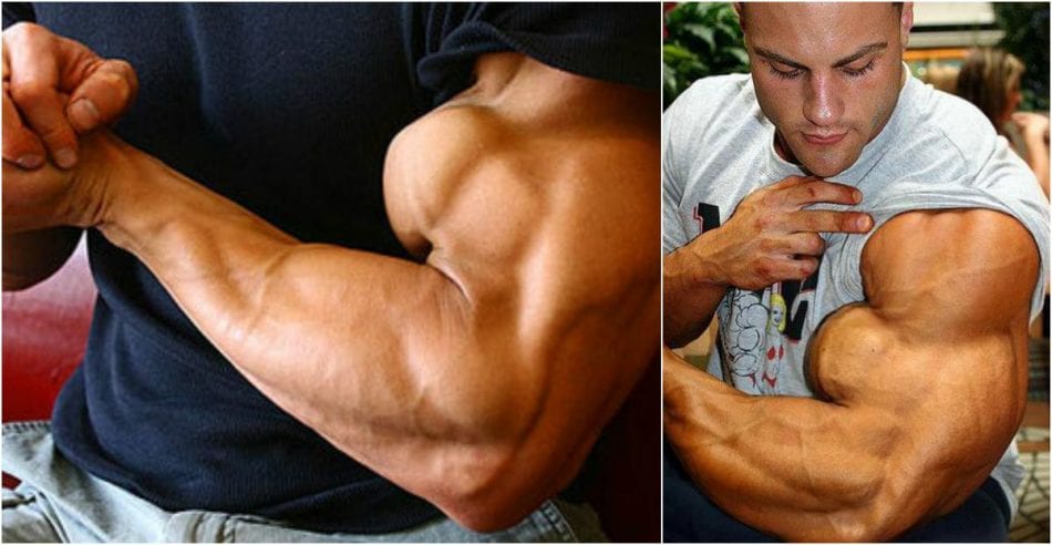 arm assault add inches to your arms