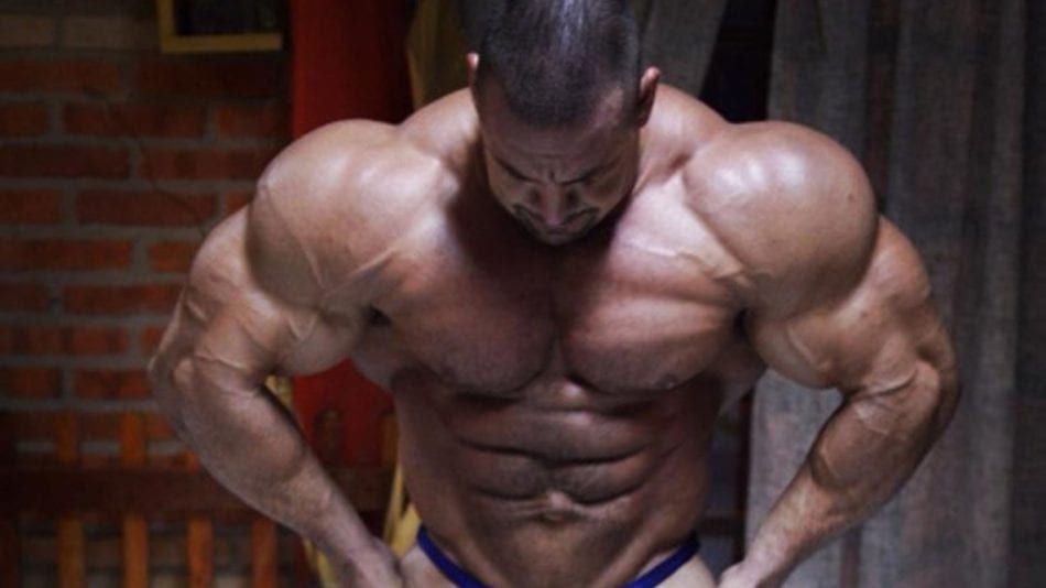 Shoulder Day