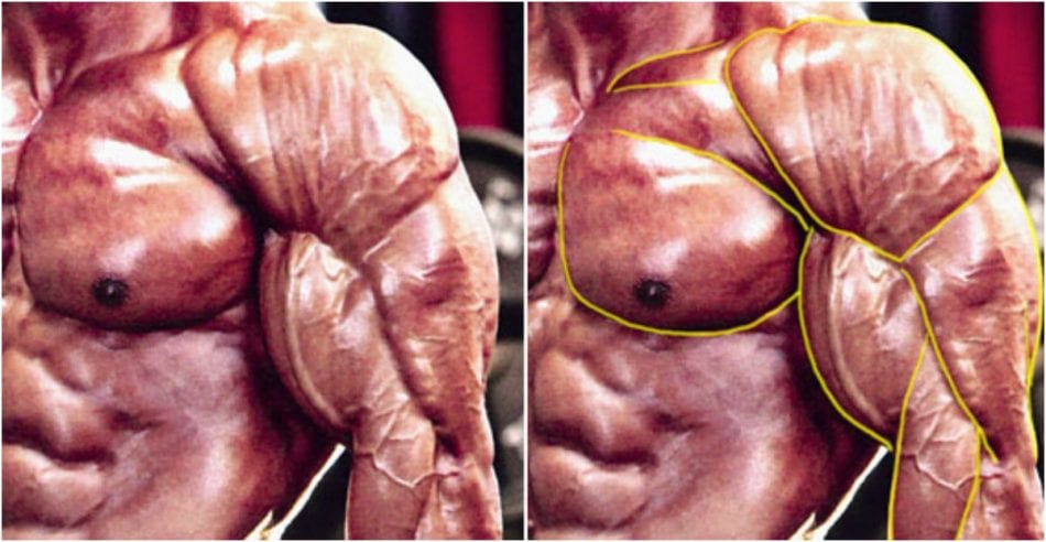 Essential Tips To Build a Colossal 3d Chest
