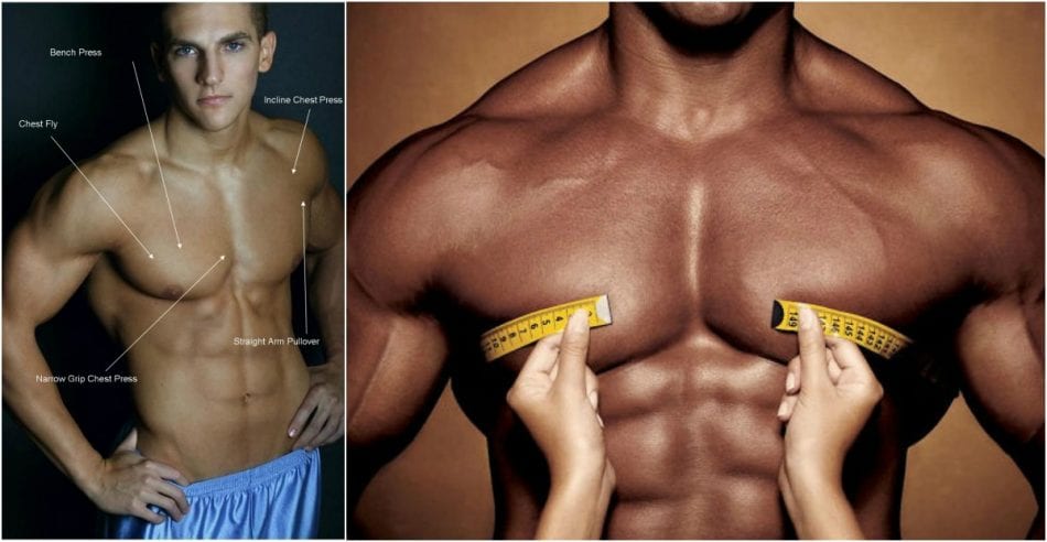 How To Build Bigger Chest Muscles
