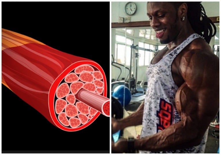 How Many Reps & Sets To Build Muscle Faster? (ID