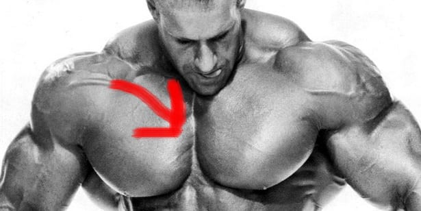 chest workout for beginners