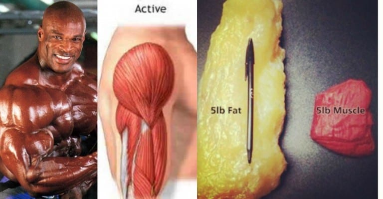 is fat heavier than muscles