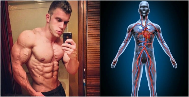 how to build muscle mass and stay shredded