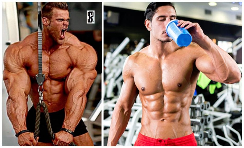 12 Best Weight Gain Supplements