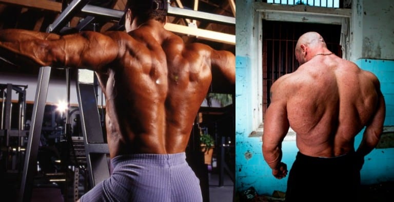 exercises for a thick back