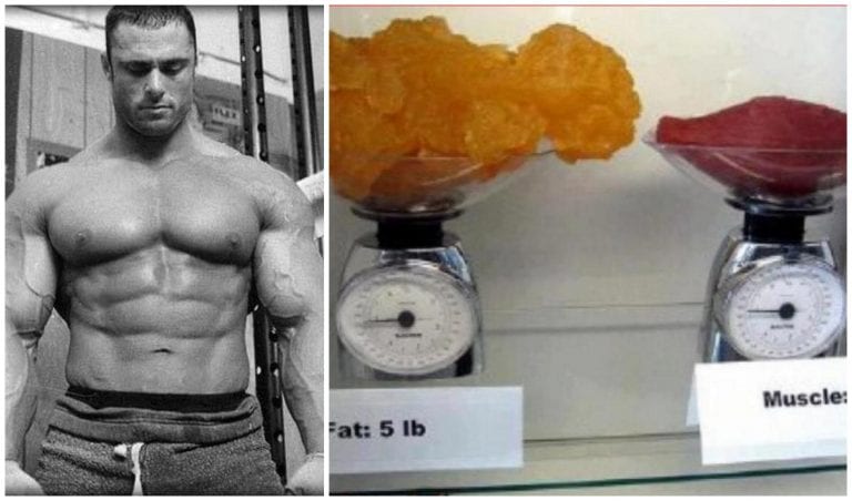 redeuce body fat while increasing muscle