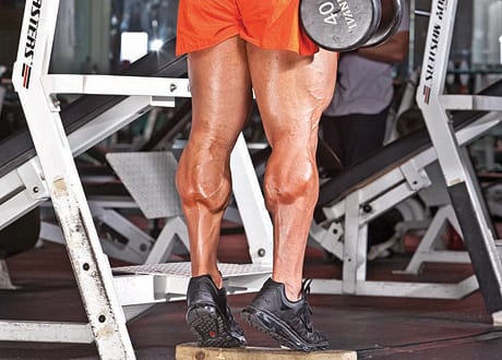 calves