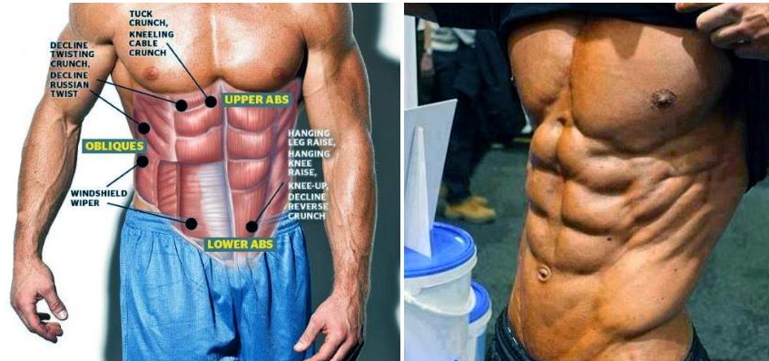 How Beginners Can Lose Fat and Get Six Pack Abs