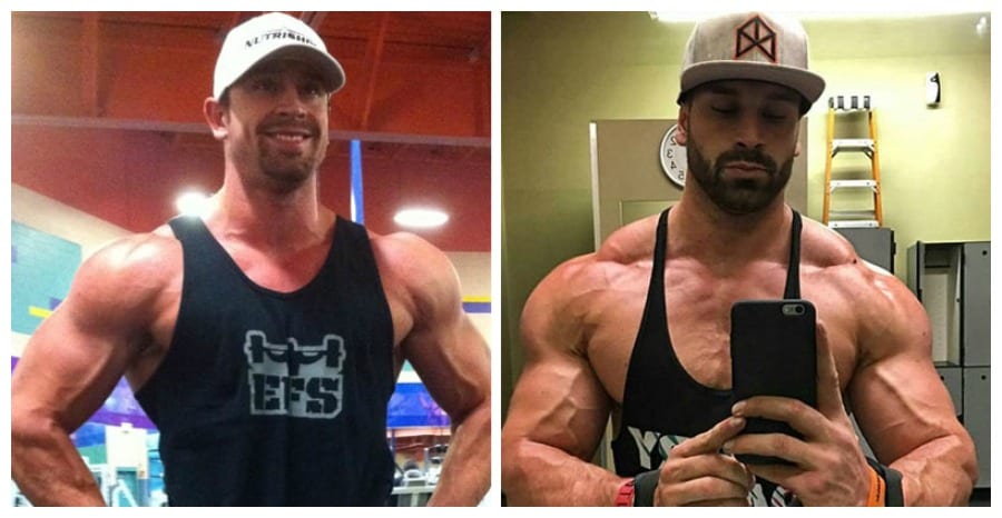bradley matryn transformation