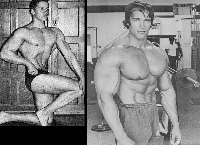 Golden era vs modern open proportions : r/bodybuilding