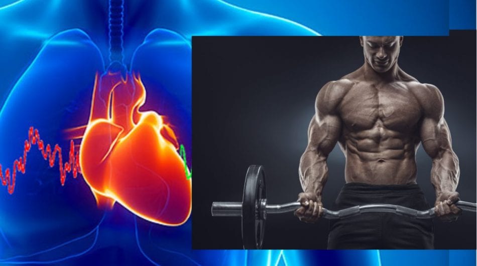 How To Build Muscle Stepbystep workout program and meal plan