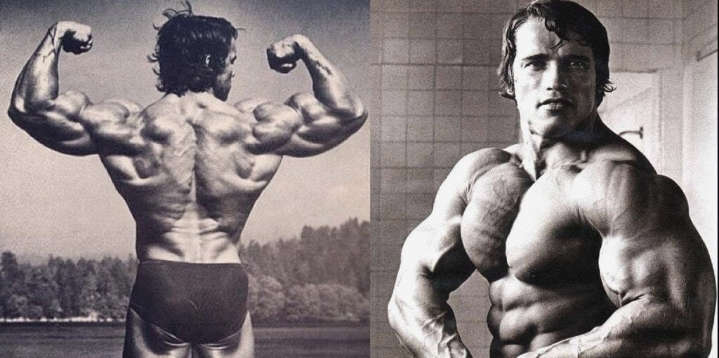 arnold chest and back