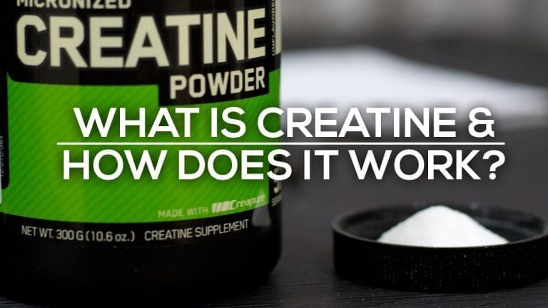 safest creatine on the market