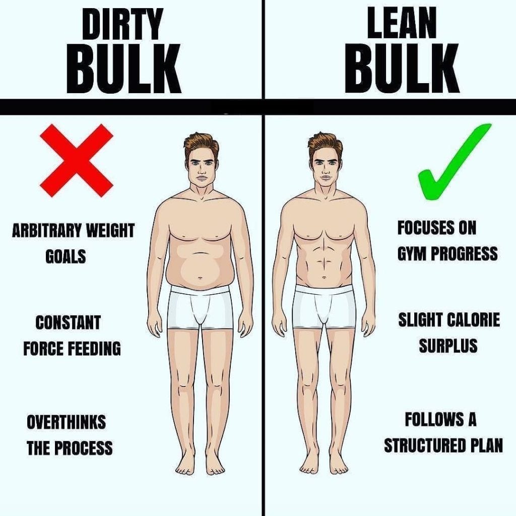 Dirty Bulking vs Clean Bulking: Everything You Need to Know - Steel  Supplements