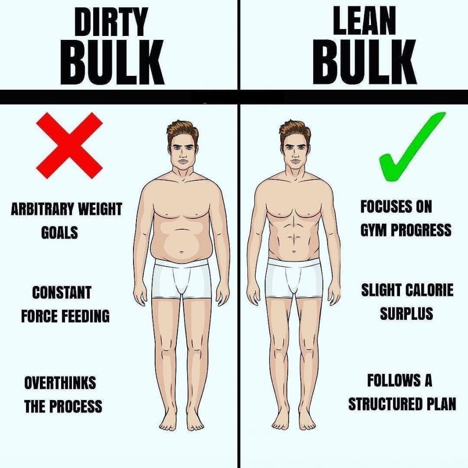 dirty-bulk-vs-clean-bulk-what-is-better-5-pros-and-3-cons