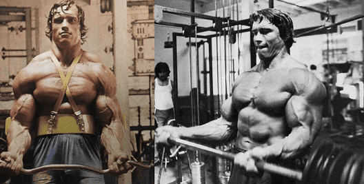 Arnold Schwarzenegger arm training