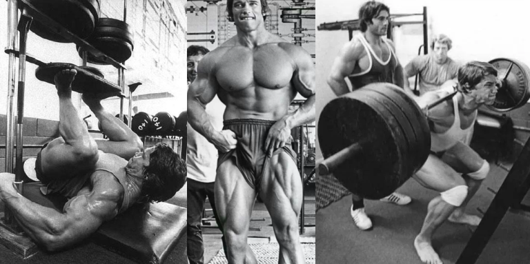 arnold schwarzenegger legs
