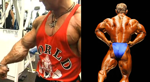 lee priest back workout