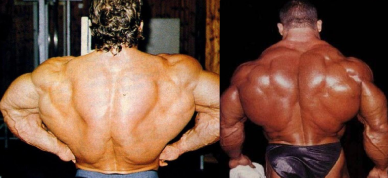 Dorian yates back workout