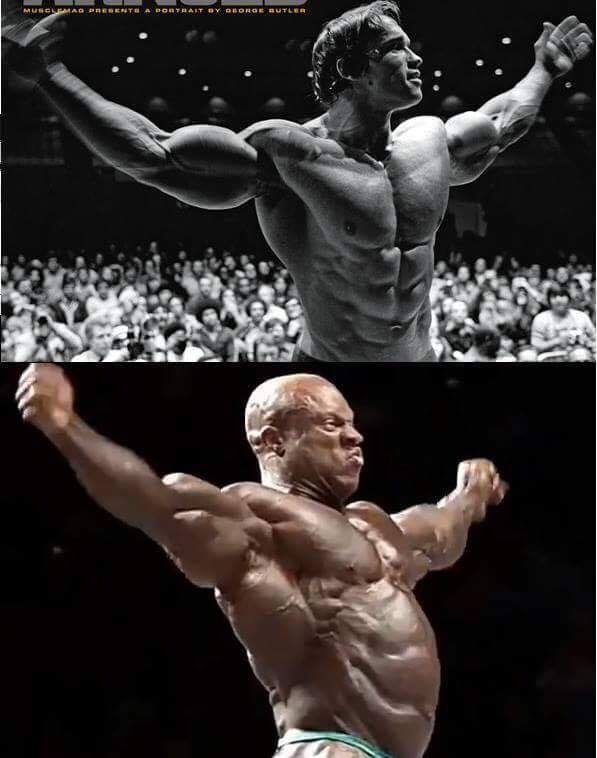arnold vs phil heath