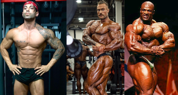 bodybuilders that admitted to using steroids