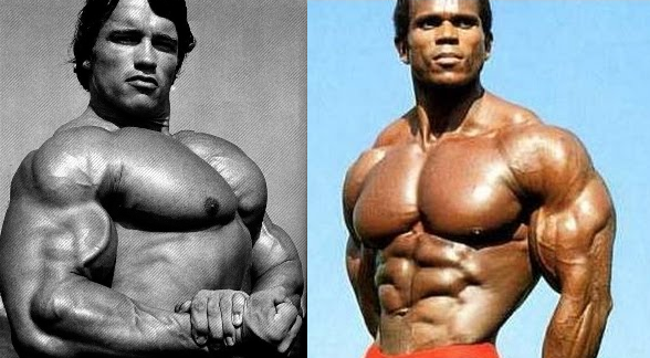 chest and tricep dumbbell workout without bench