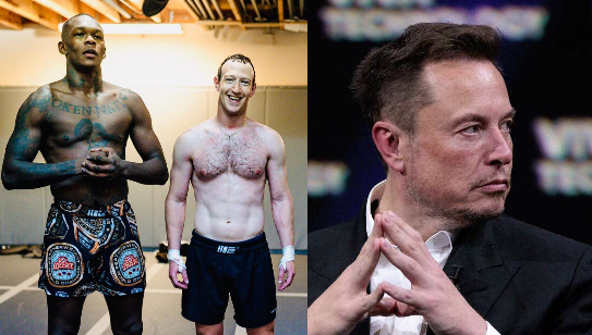 mark vs elon