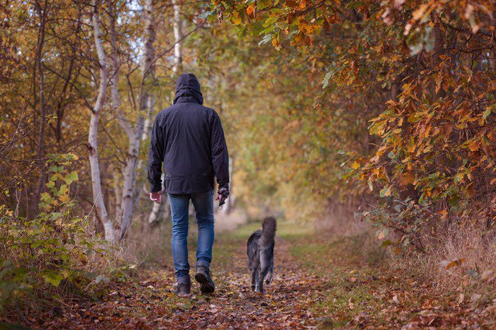 does walking increase testosterone