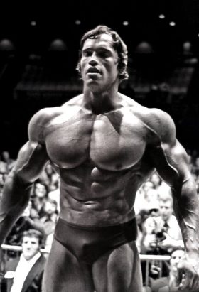 Arnold schwarzenegger quotes