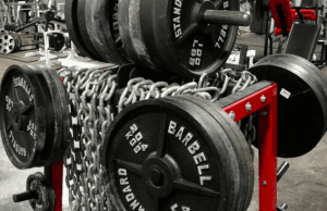 exercise selection for bodybuilding