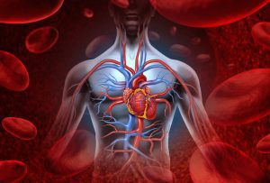 mesomoroph pre workout effects